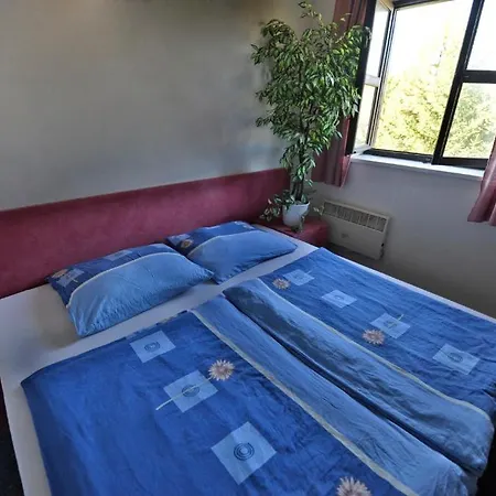 Love hotel Wellness Hotel Brezuvky 4*