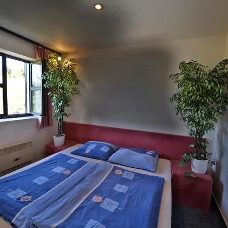 Wellness 4*