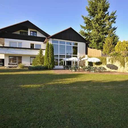 Wellness 4*