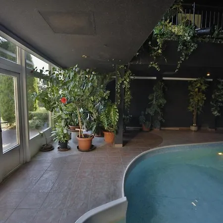 Wellness 4* Březŭvky