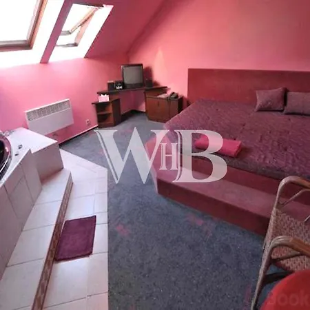 Wellness 4* Březŭvky